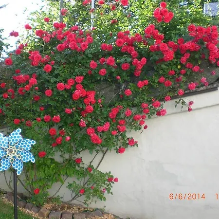 Πανσιόν Golf-pension Plautz Grabelsdorf